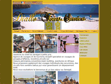 Tablet Screenshot of diallotours-africa.net